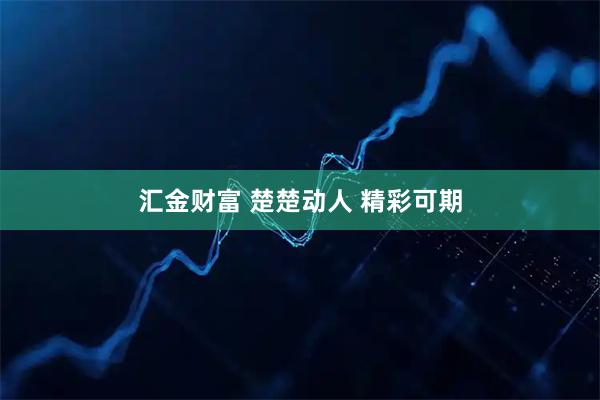 汇金财富 楚楚动人 精彩可期