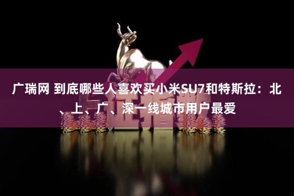广瑞网 到底哪些人喜欢买小米SU7和特斯拉：北、上、广、深一线城市用户最爱