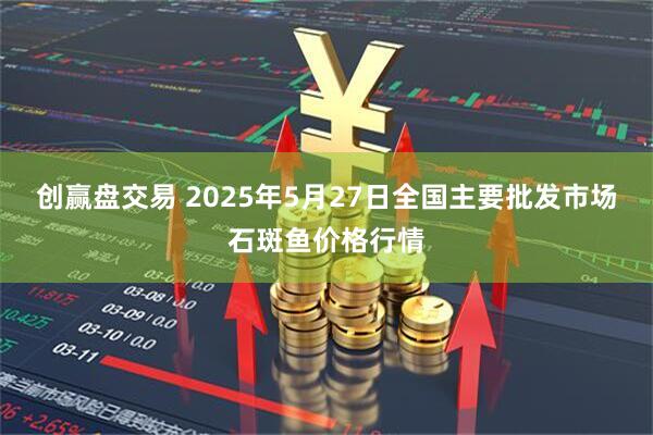 创赢盘交易 2025年5月27日全国主要批发市场石斑鱼价格行情